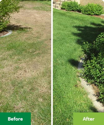 Before and after lawn treatment