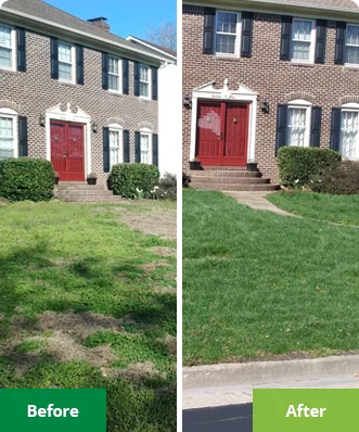 Before and after lawn treatment