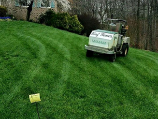 Lawn Care